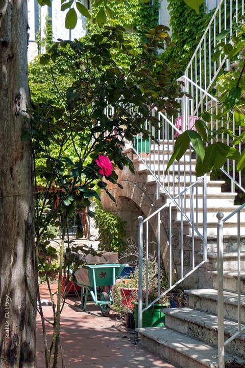 The Kheir Residence The Green House — photograph 6
