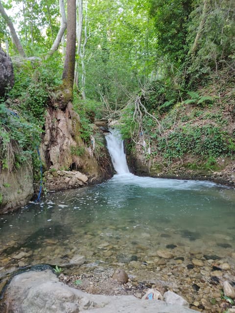 Foresters land - Tannourine by the River — photograph 4