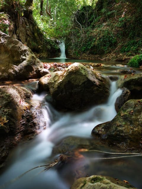 Foresters land - Tannourine by the River — photograph 6