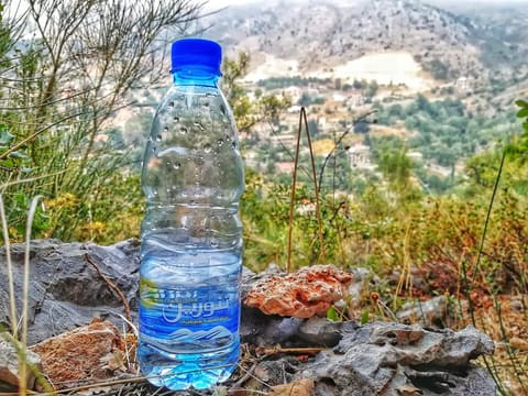 Wadi Tannourine — photograph 5