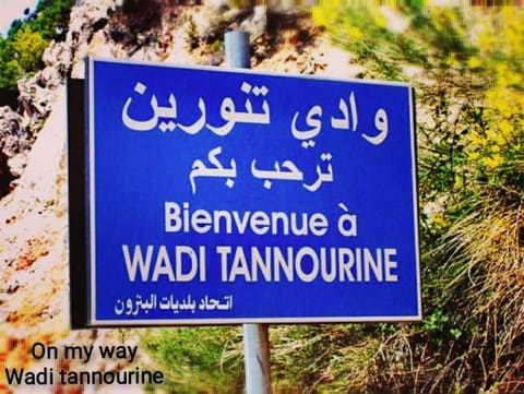 Wadi Tannourine — photograph 6