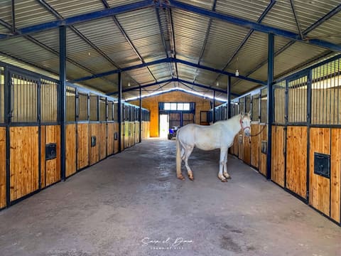The Ranch — photograph 6