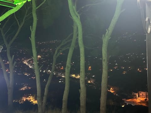 La Pinede — photograph 4