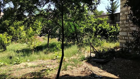 Samer Abi Farah kfarakka — photograph 4