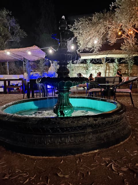 Ayloul Lounge — photograph 3