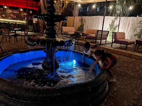 Ayloul Lounge — photograph 4