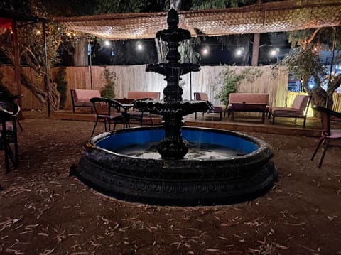 Ayloul Lounge — photograph 5