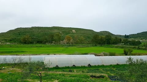 Amioun garden — photograph 3