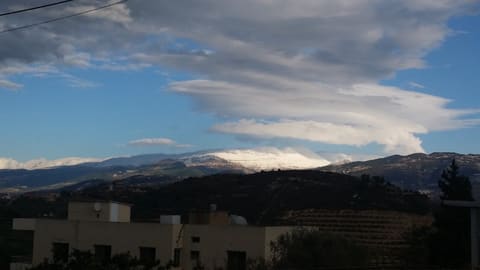 Saint Sassine — photograph 3