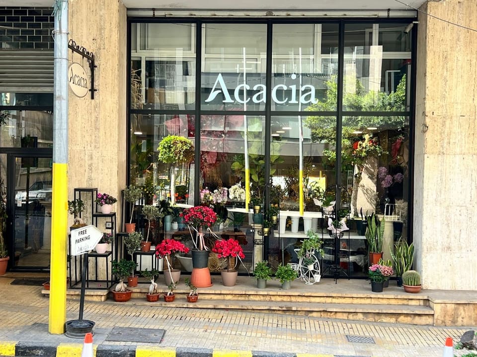 Acacia