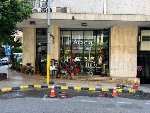 Acacia — photograph 2
