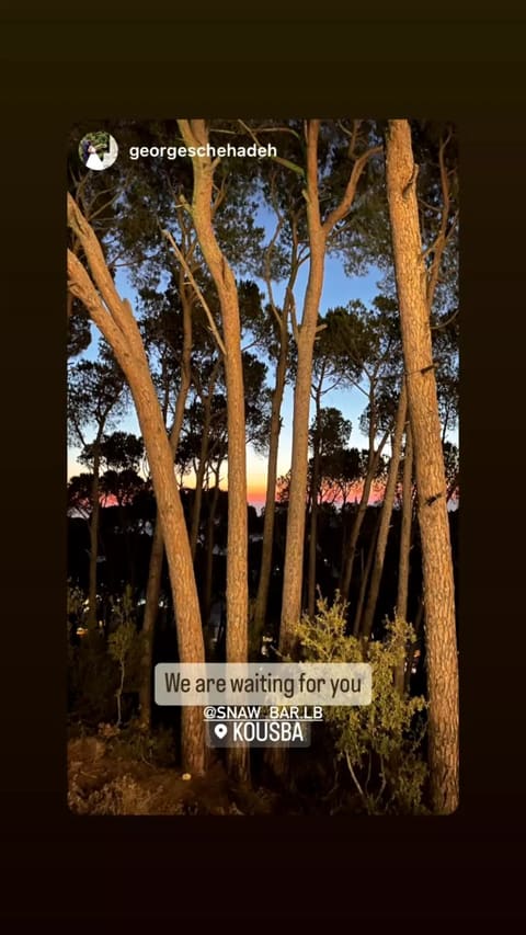 Snawbar — photograph 5