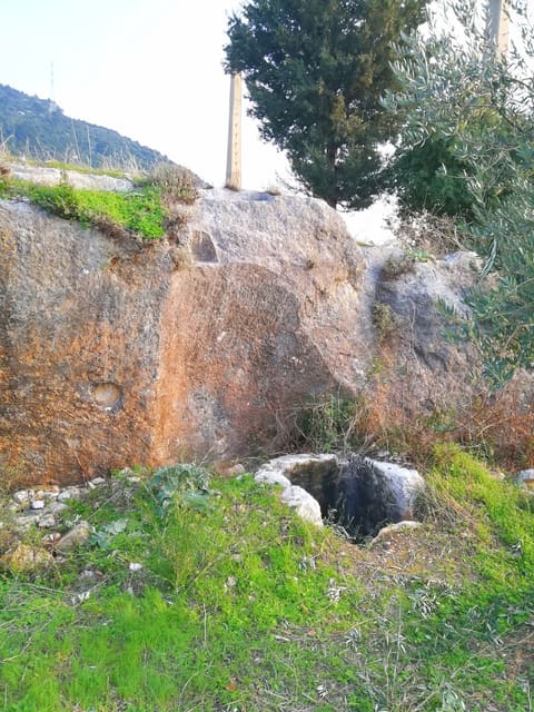 Nawous Ras Kifa — photograph 2