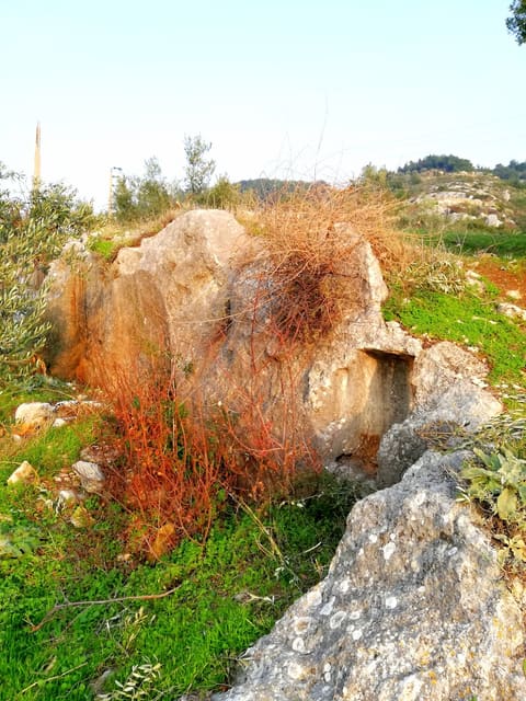 Nawous Ras Kifa — photograph 3