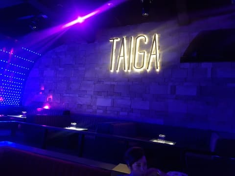 Taiga Beirut — photograph 6