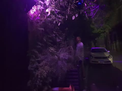 Posh Club- Beirut — photograph 5