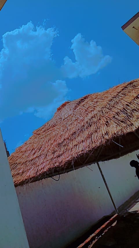 Zanzoun — photograph 2