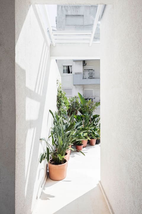 BEIROOTED penthouse — photograph 5