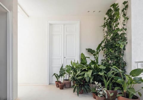 BEIROOTED penthouse — photograph 6