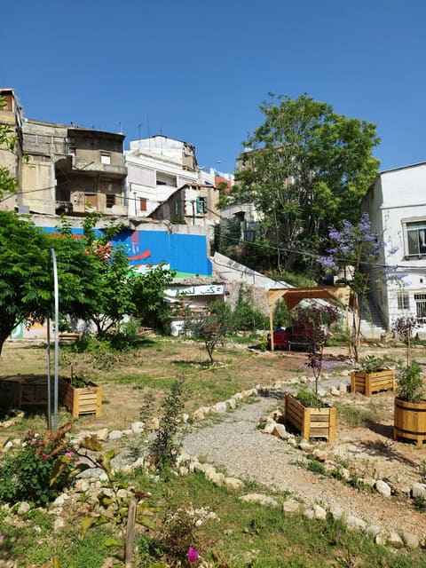Laziza Park — photograph 2