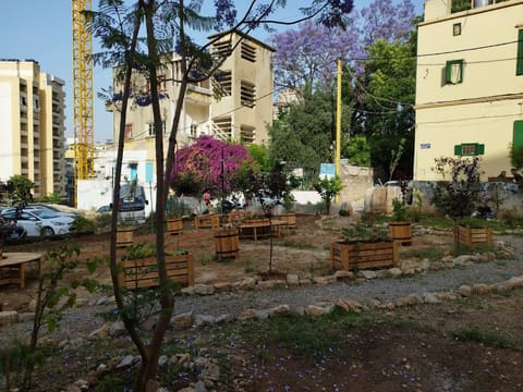 Laziza Park — photograph 3