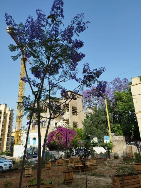 Laziza Park — photograph 4