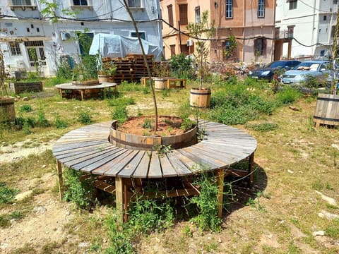 Laziza Park — photograph 5