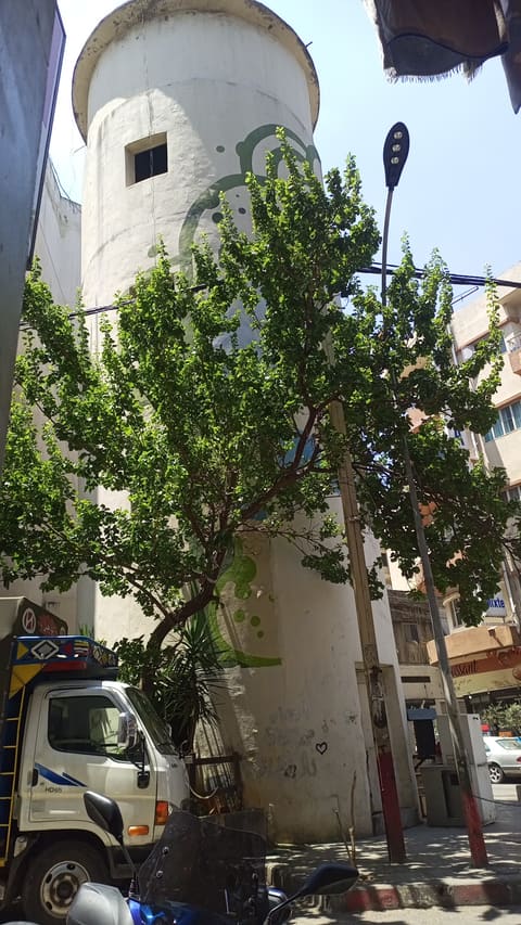 Nabaa Spring Tower — photograph 2