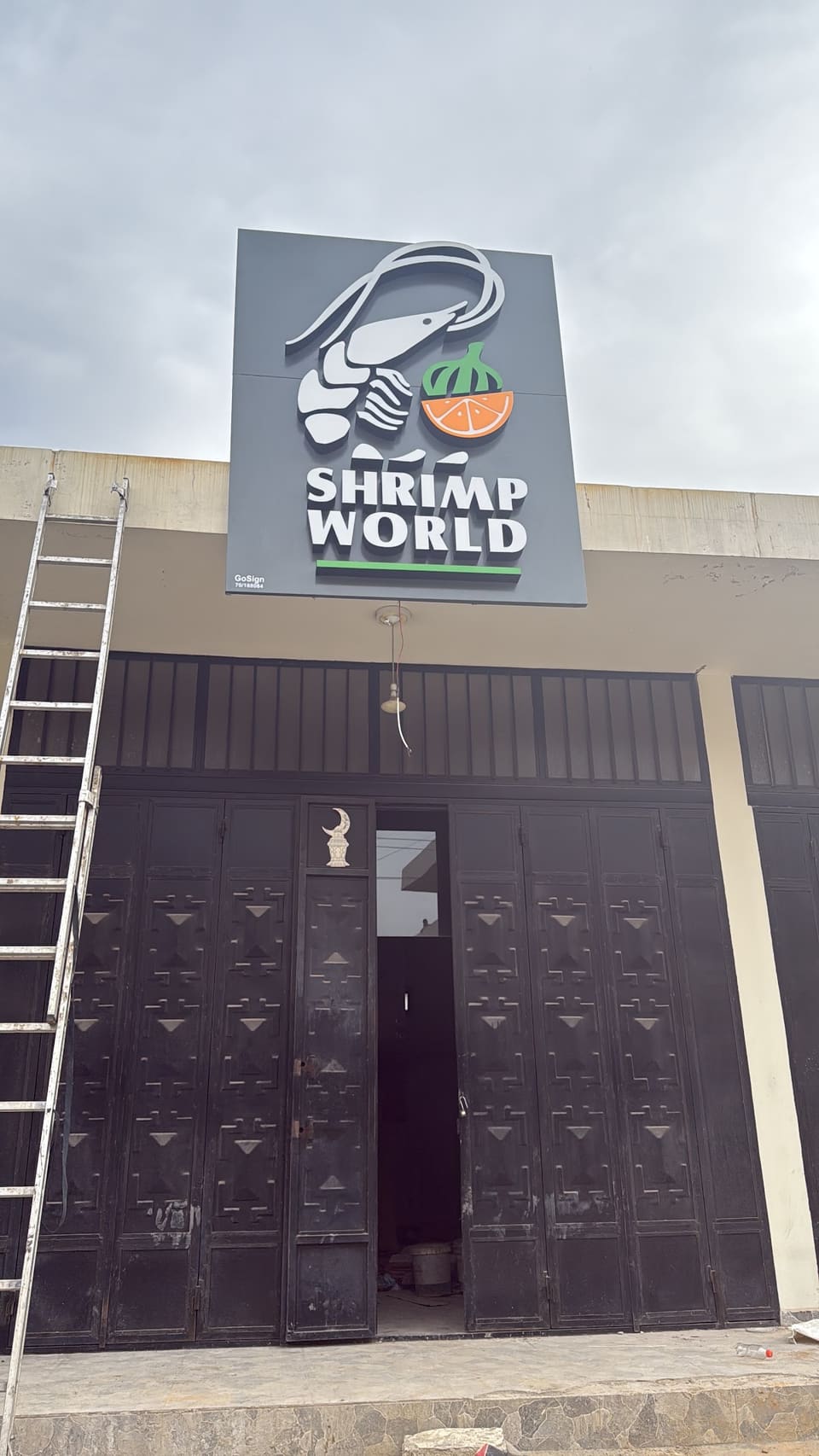 Shrimp world