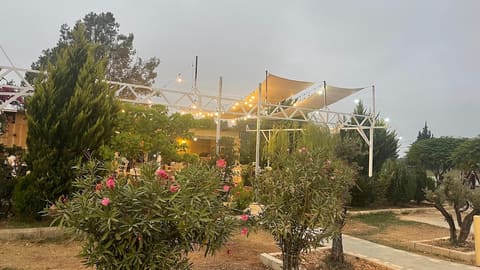 Sayla Cafe — photograph 5