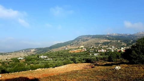 Masjid Al Nour, Bshtayel — photograph 4