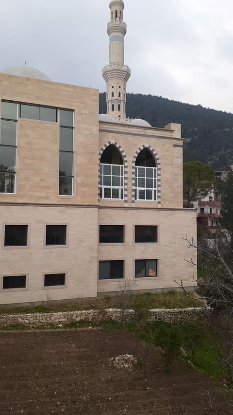 Taran Mosque — photograph 2