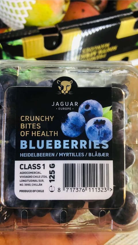 MR. FRUITS — photograph 3