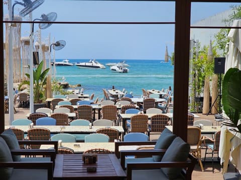 Skoon Jounieh — photograph 6