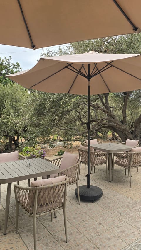 Olea Café — photograph 3