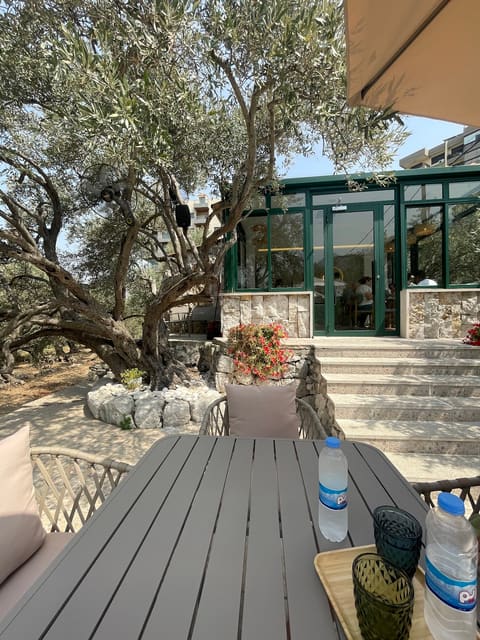 Olea Café — photograph 5