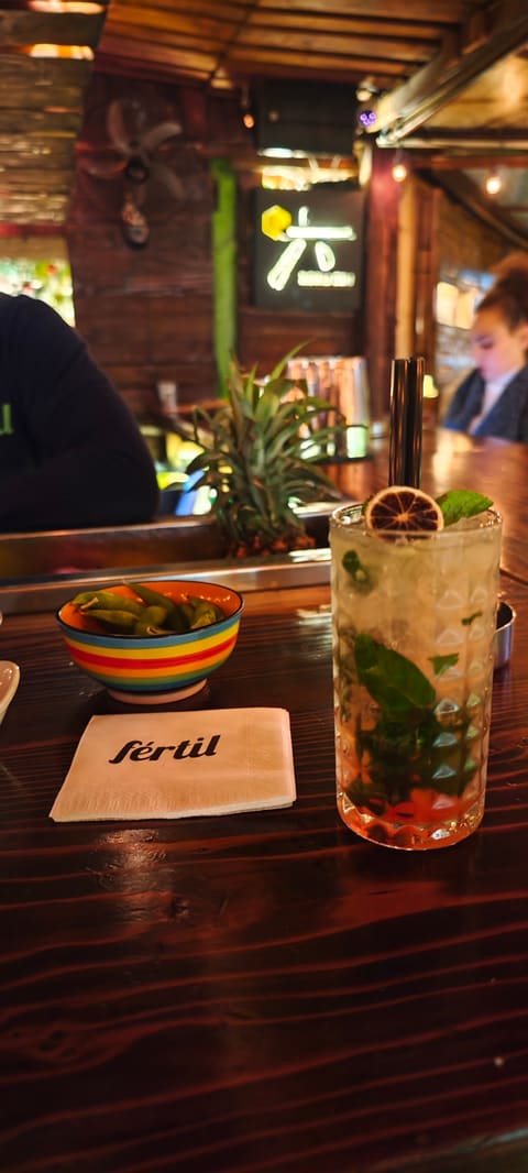 Fertil pub — photograph 6