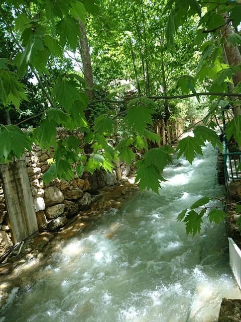 Faraya on the beach — photograph 6