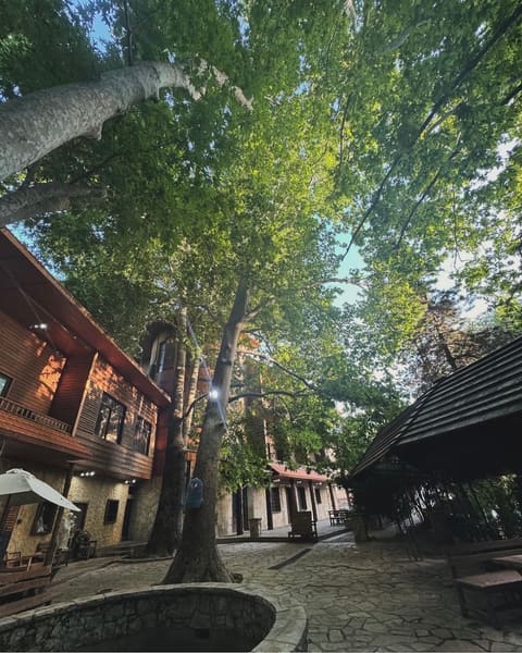 Hotel Al Bader — photograph 2