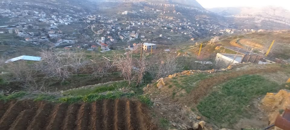 Garden wissam beyrouty