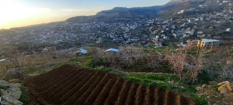 Garden wissam beyrouty — photograph 2