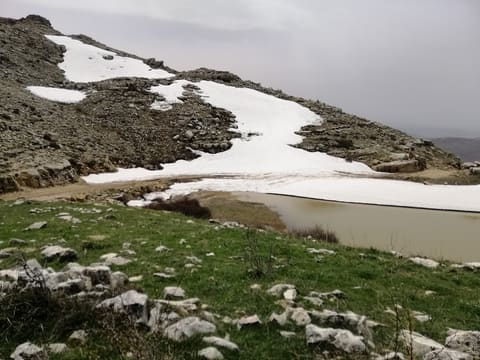 Jourett Wissam l Beyrouty — photograph 4