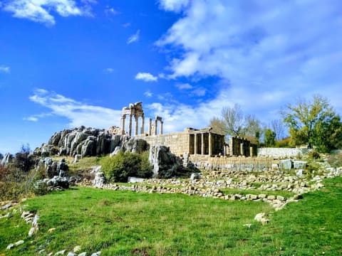 Temple of Atargatis Kfardebian — photograph 3