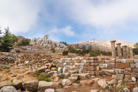 Temple of Atargatis Kfardebian — photograph 4
