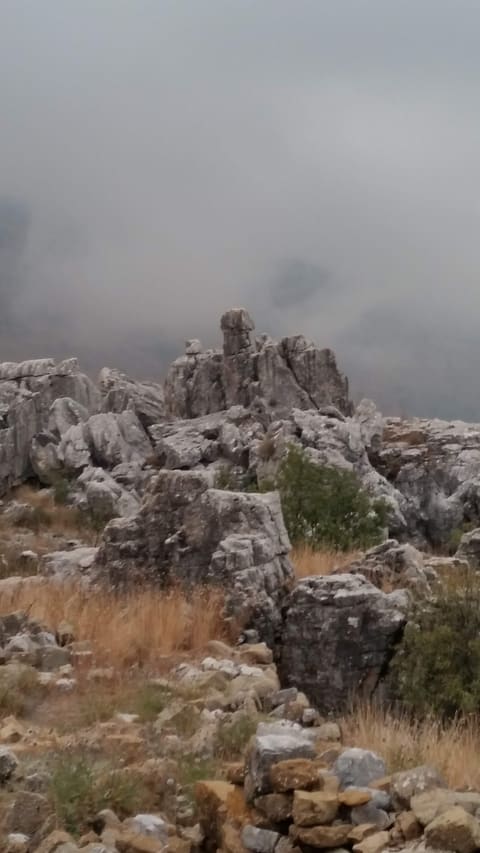 Temple of Atargatis Kfardebian — photograph 5