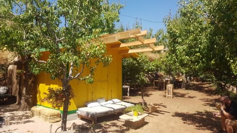 Chabrouh Eco Farm — photograph 2