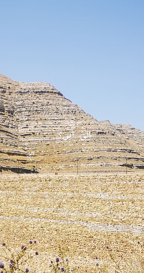 Chabrouh Eco Farm — photograph 3