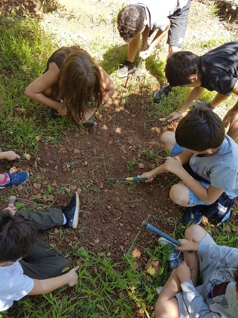 Chabrouh Eco Farm — photograph 5