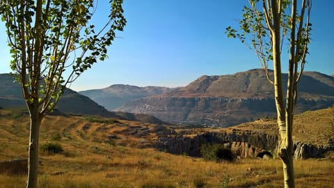 Kfardebian's Natural Bridge — photograph 5