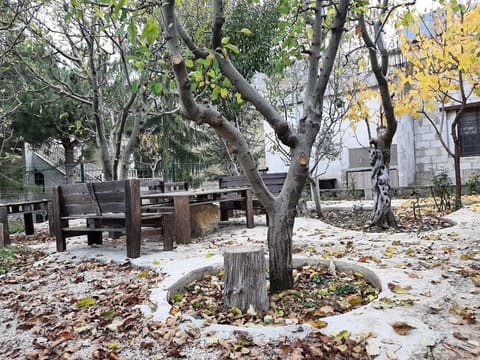 Faraya Backyard — photograph 6